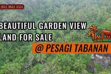 JUAL MURAH TANAH di TABANAN BALI 30 Are View hutan dan sungai kecil