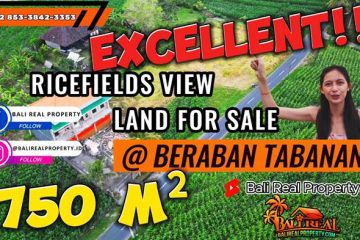 INVESTASI PROPERTY, TANAH di TABANAN DIJUAL MURAH TJTB849