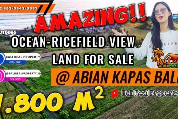 TANAH MURAH JUAL di TABANAN BALI 7,800 m2 View sawah, laut dan gunung, tepi sungai dekat pantai