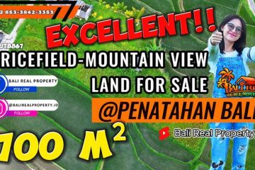 JUAL TANAH DI TABANAN 700 m2 View Sawah dan Gunung