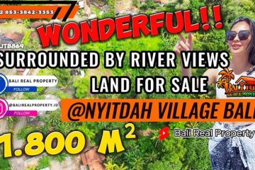 TANAH MURAH di TABANAN BALI DIJUAL 18.6 Are View Sungai, Hutan dan Bendungan